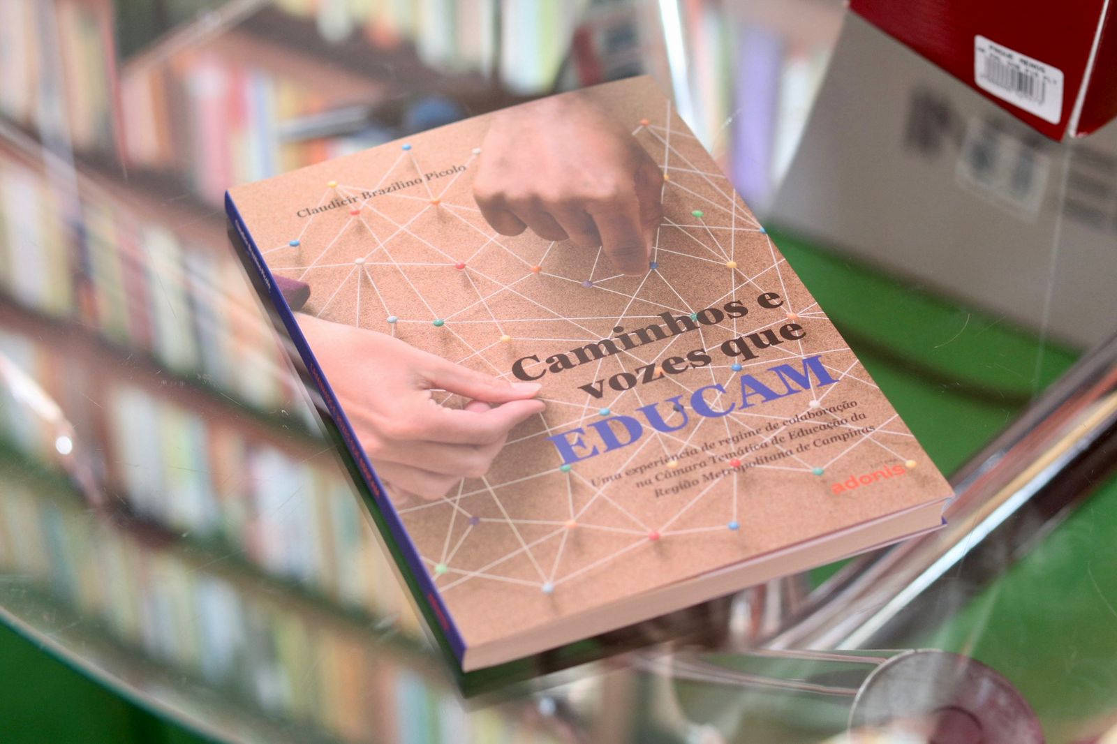 Caminhos e Vozes que Educam — detalhes